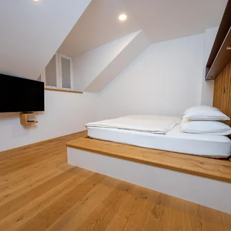 Aparthotel Cirus Kocevje