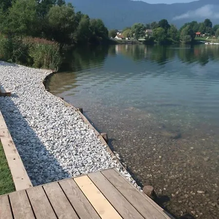 Cirus * Kocevje
